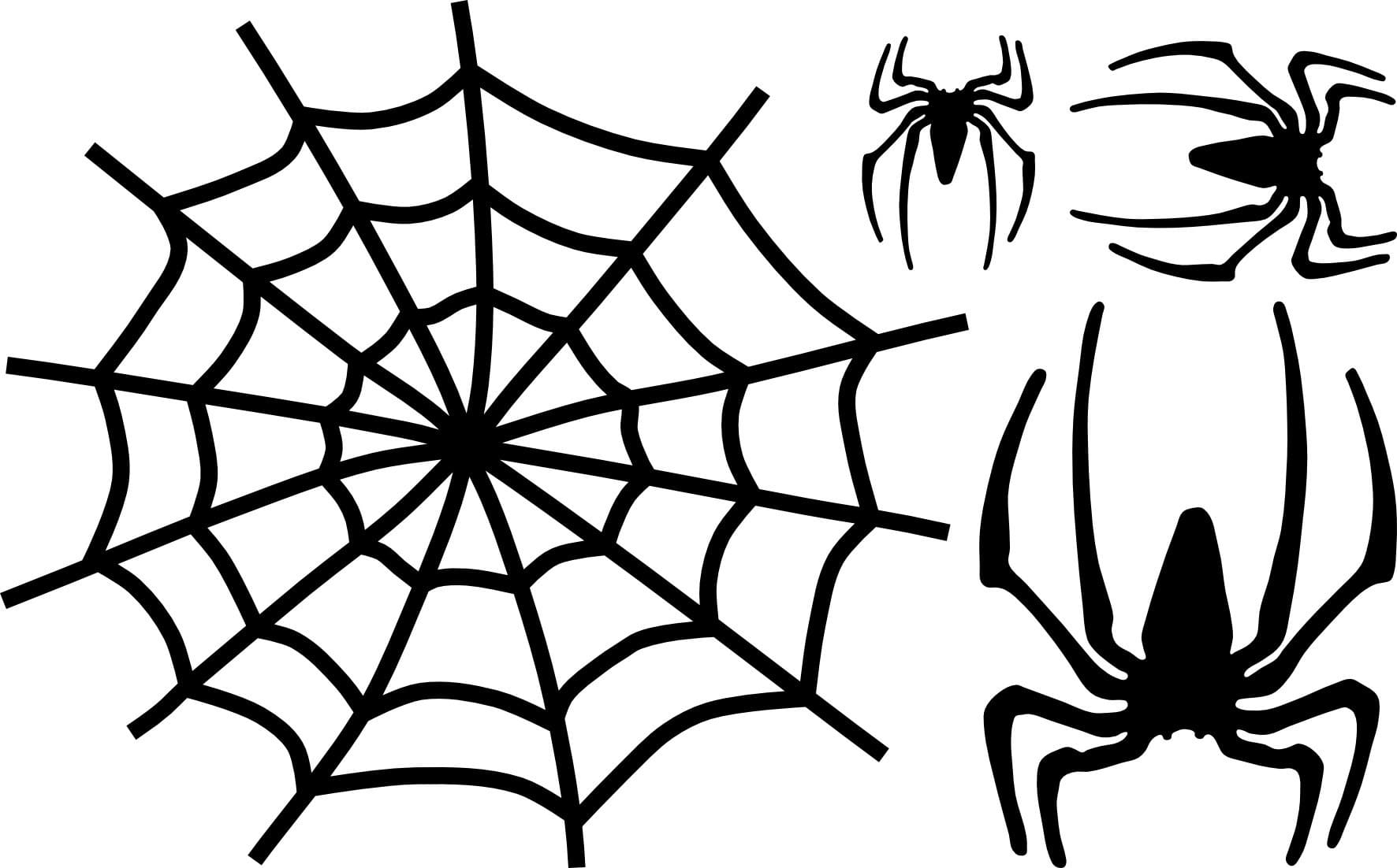 Halloween Spinnennetz Vorlage