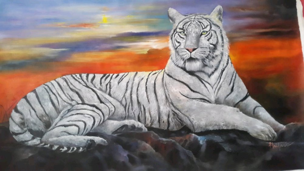 Harimau Putih Wallpaper