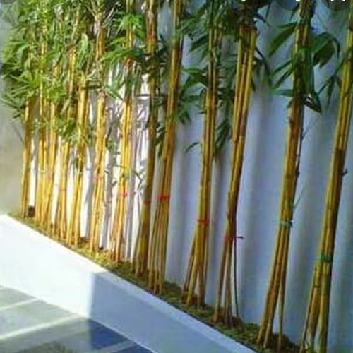 Hiasan Taman Dari Bambu