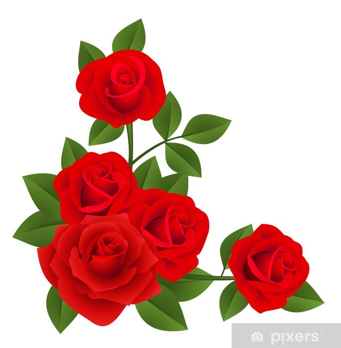 Hintergrundbilder Rote Rosen