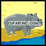 Hippopotamus Kartun