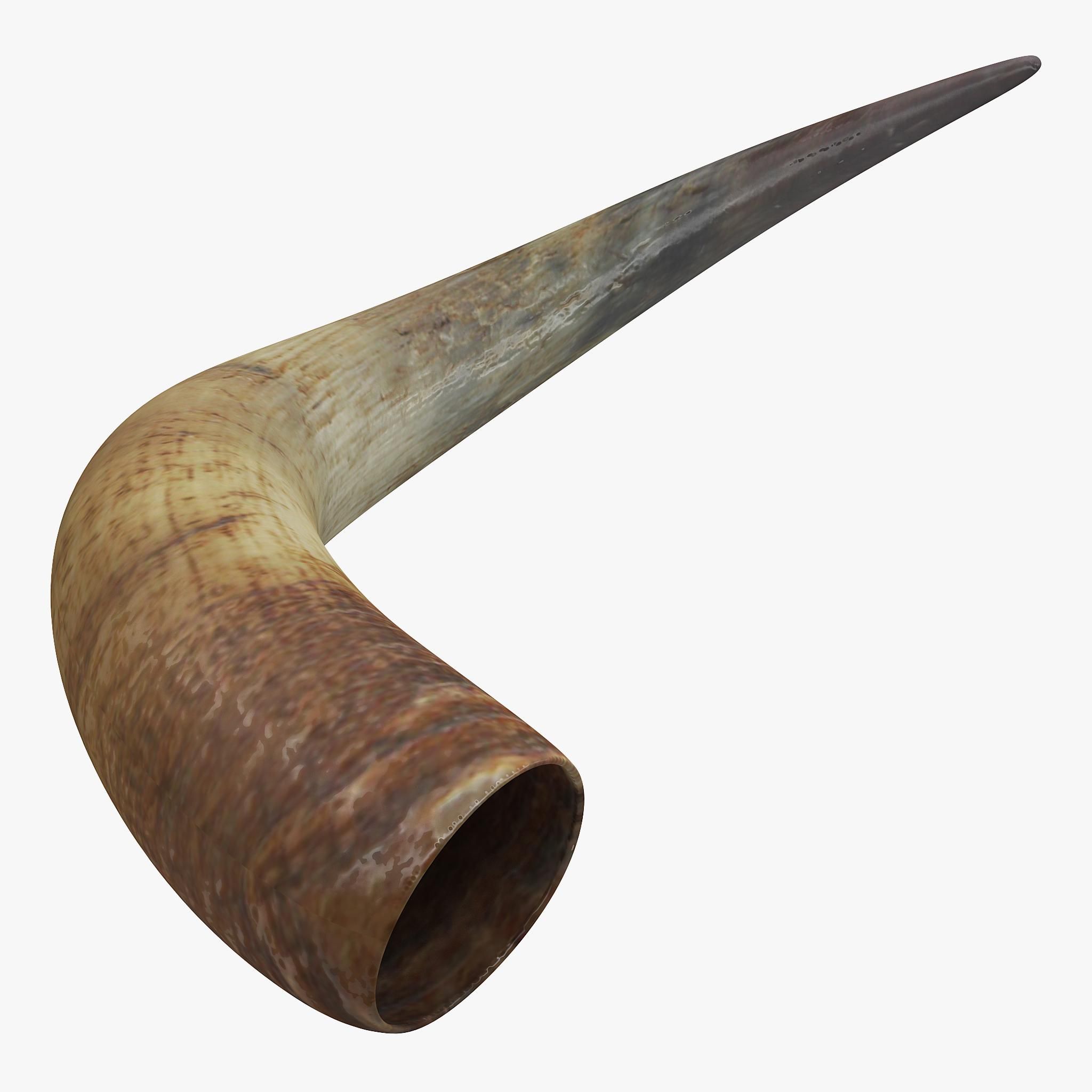 Horn Instrument Arten