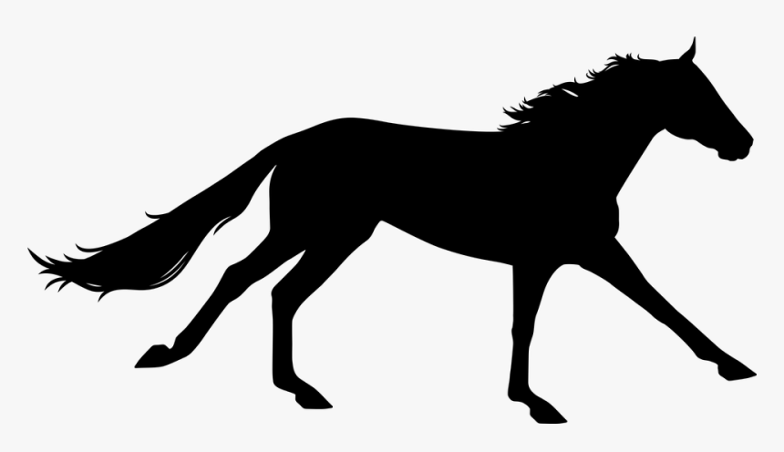 Horse Running Png