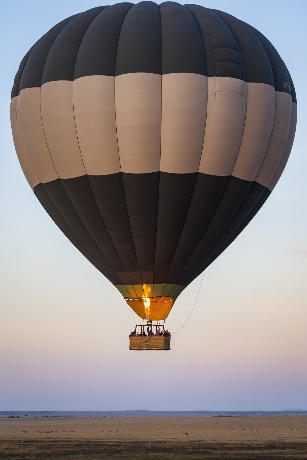 Hot Air Balloon Image