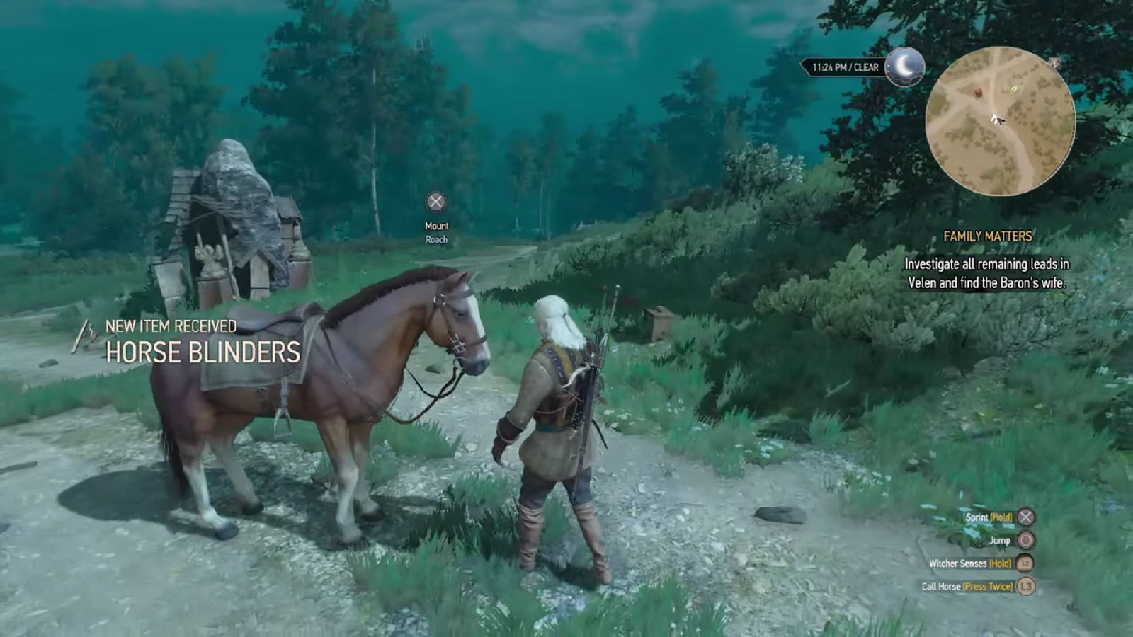 How To Call Roach Witcher 3