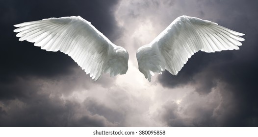 How To Edit Angel Wings On A Picture