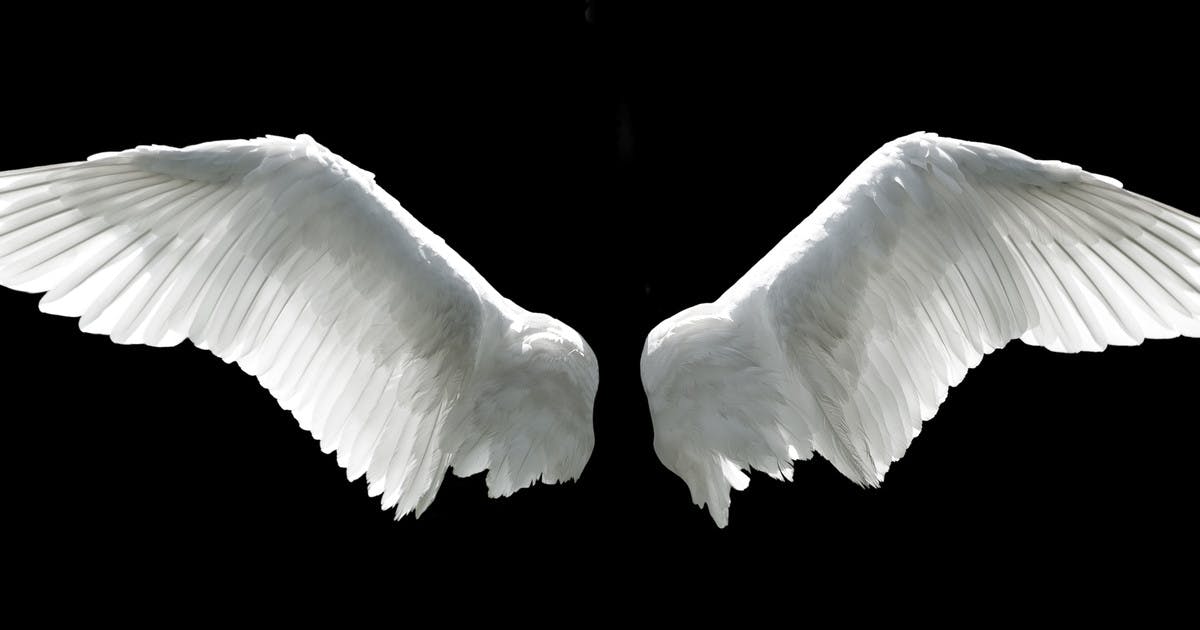 How To Make Angel Wings On A Picture