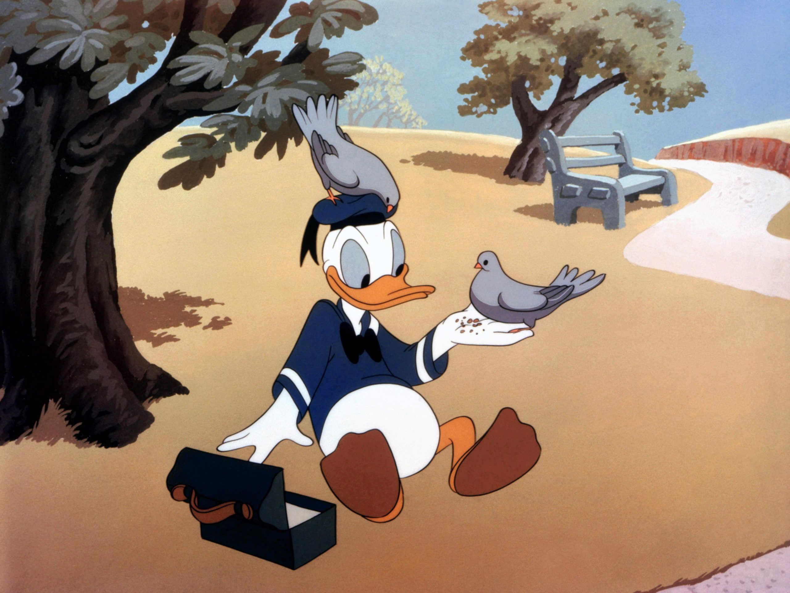 Image Of Donald Duck