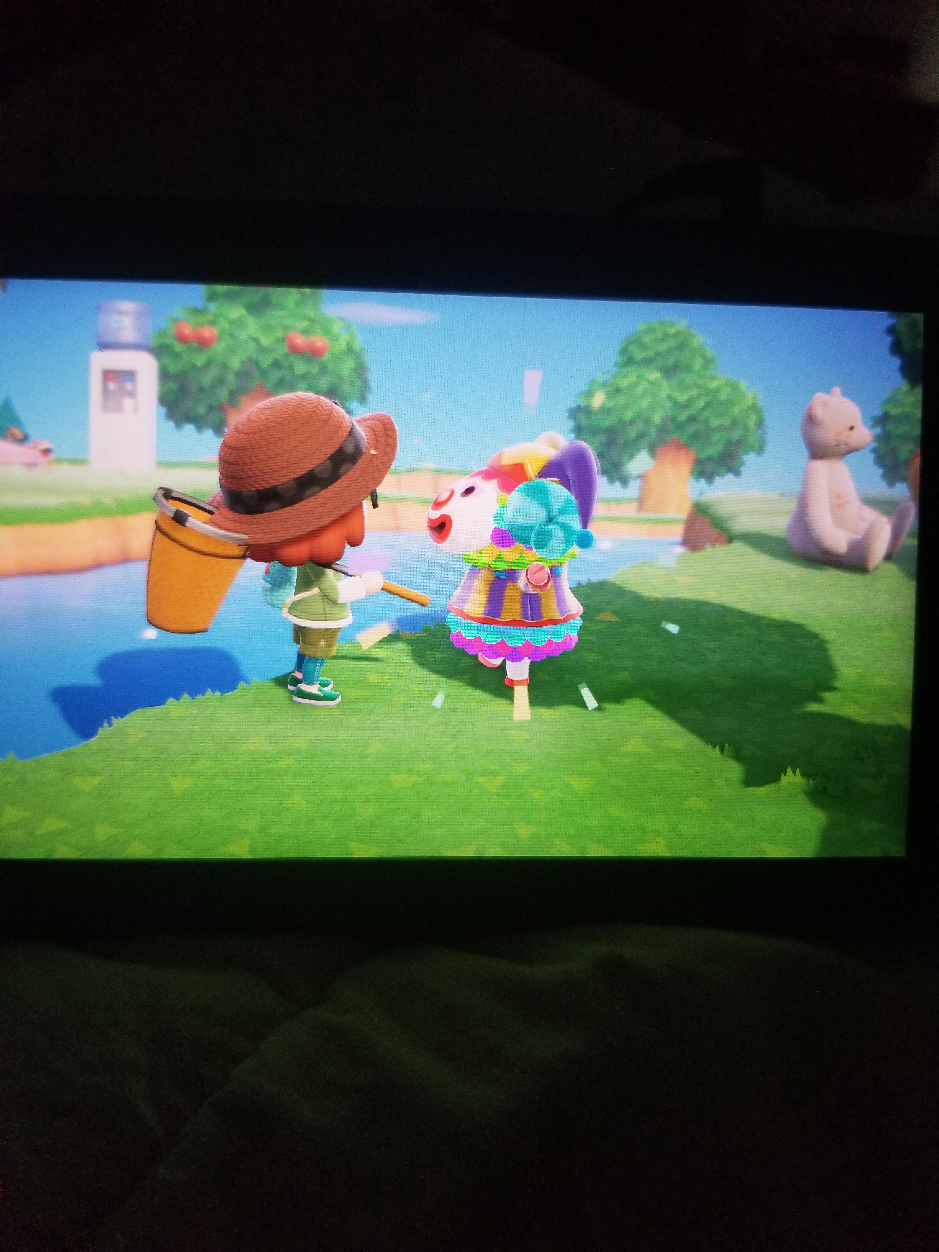 Jester Hat Animal Crossing