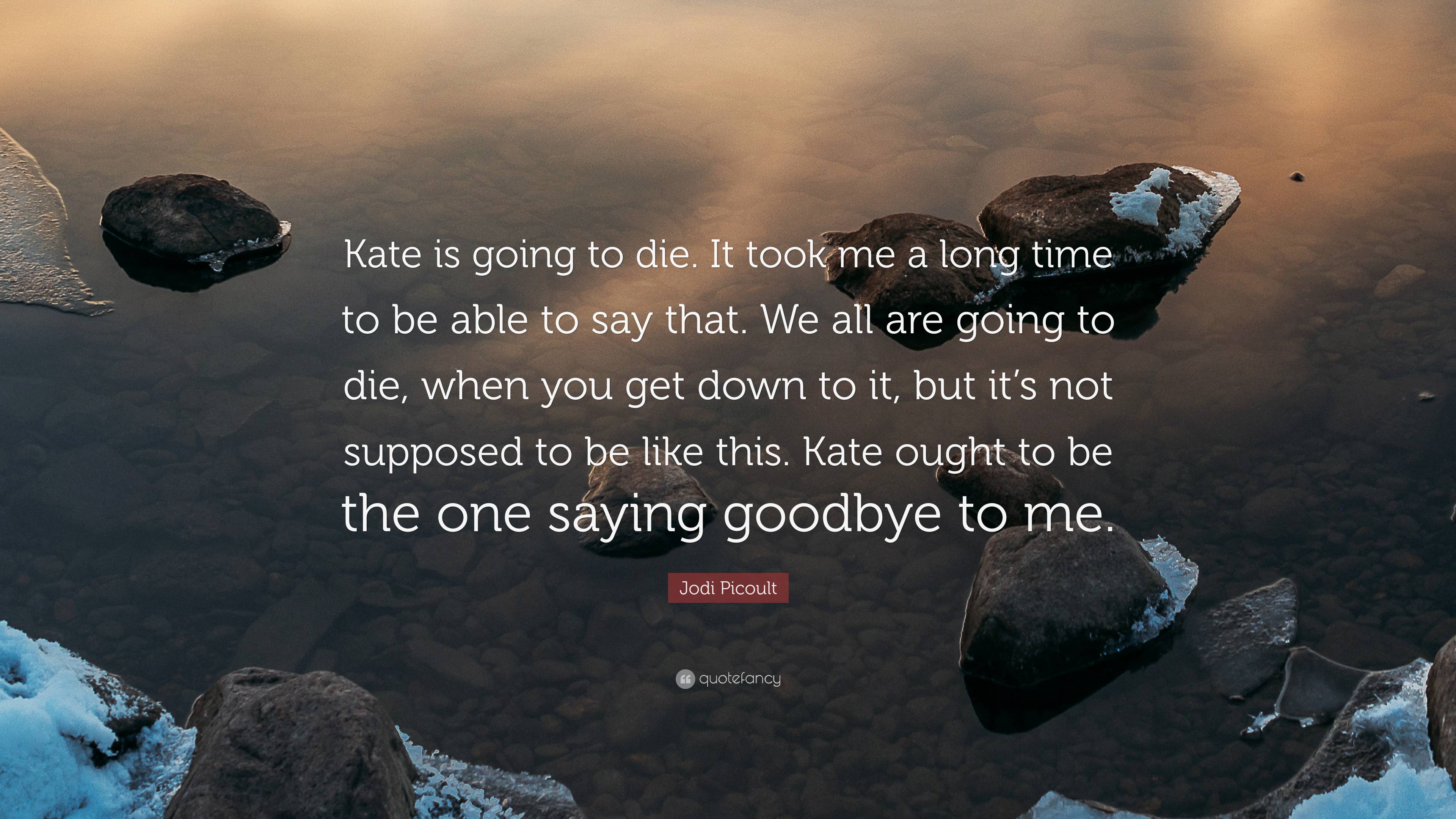 Jodi Picoult Quotes Leaving Time