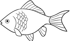 Karikatur Gambar Ikan