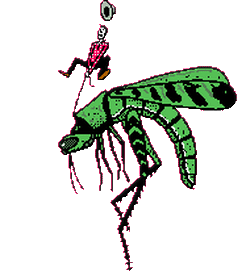 Kartun Lalat