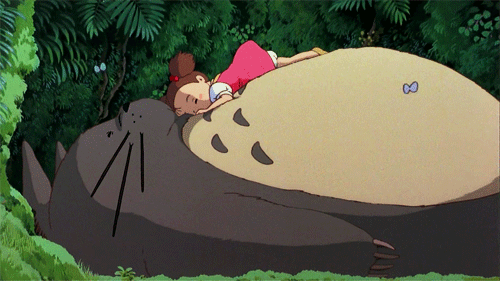 Kartun Totoro