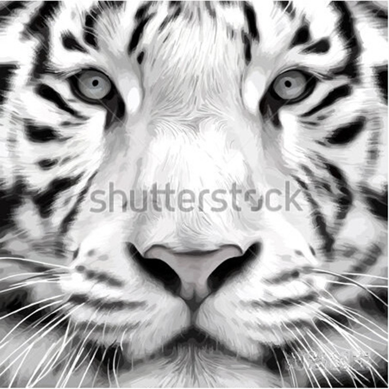 Kepala Harimau Putih
