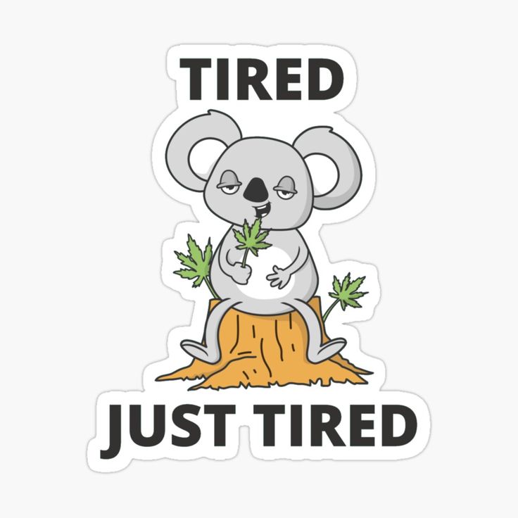 Koala Leaf Meme