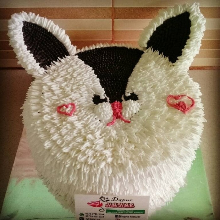 Kue Ulang Tahun Karakter Kucing