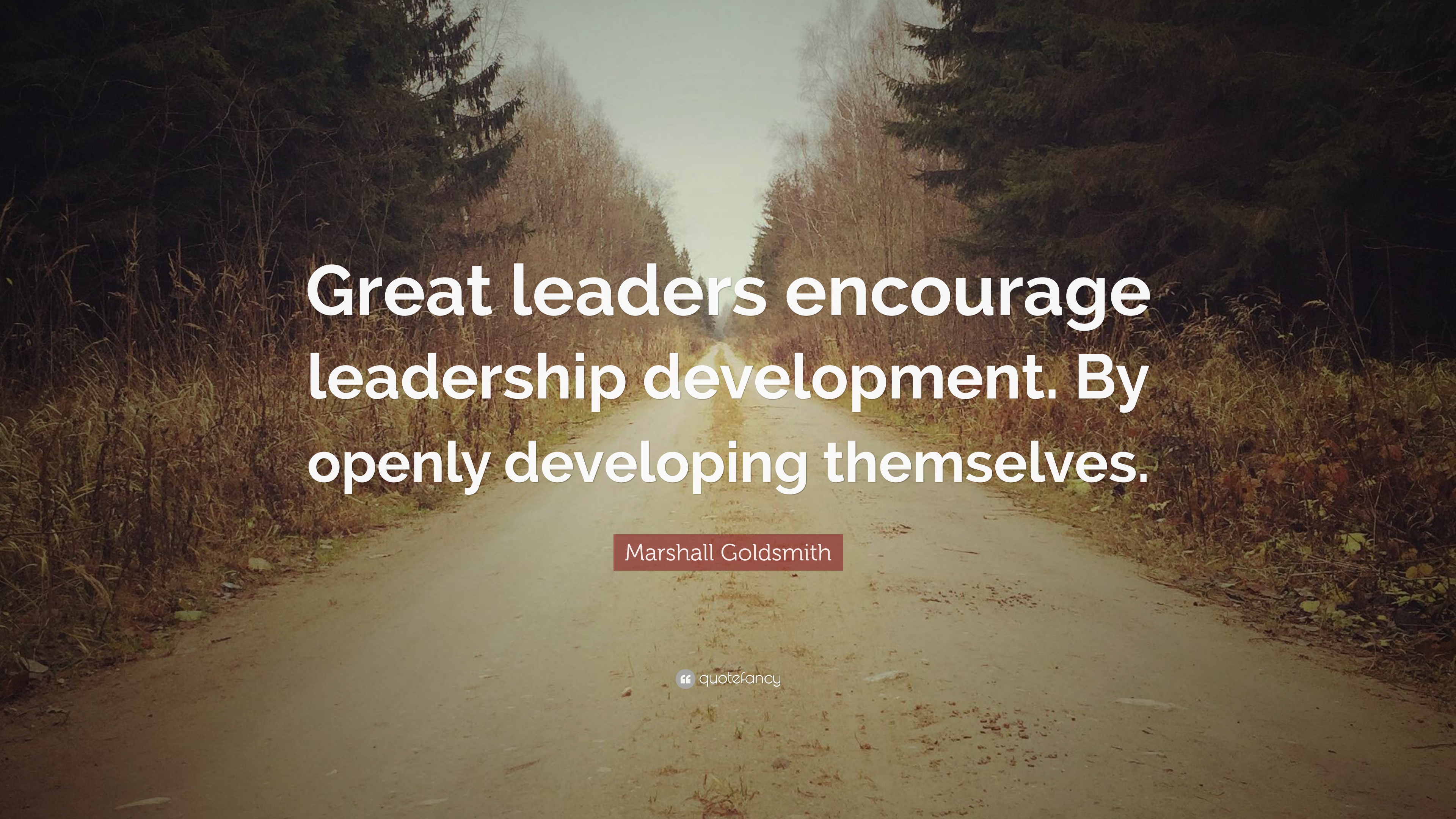 Leadership Development Quotes