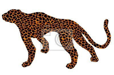Leopard Gezeichnet
