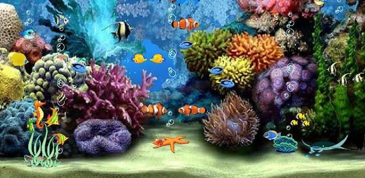 Live Aquarium Wallpaper