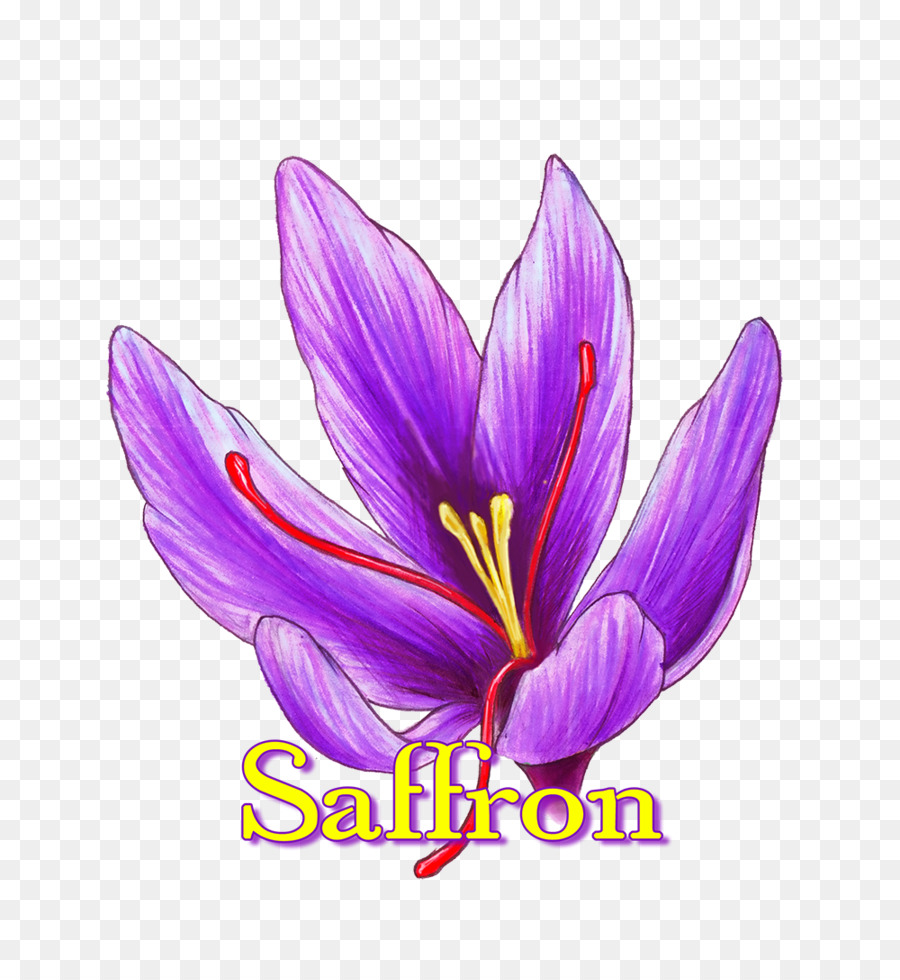 Logo Bunga Saffron