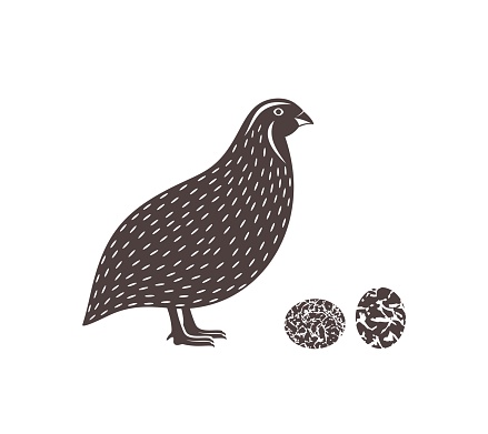 Logo Burung Puyuh
