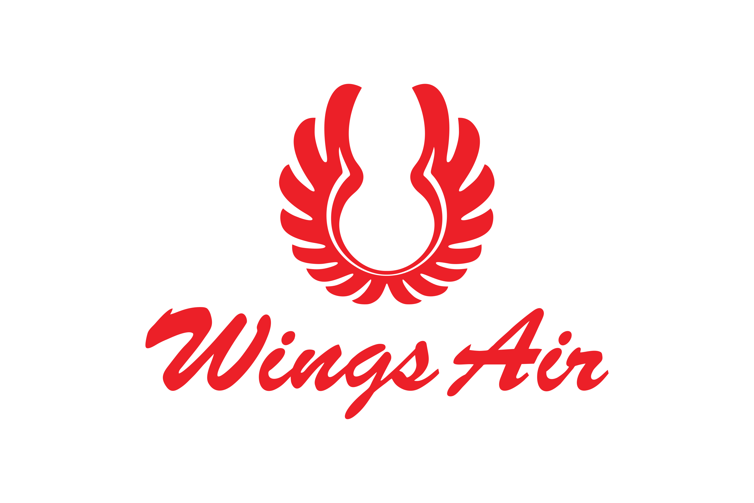Logo Wings Air