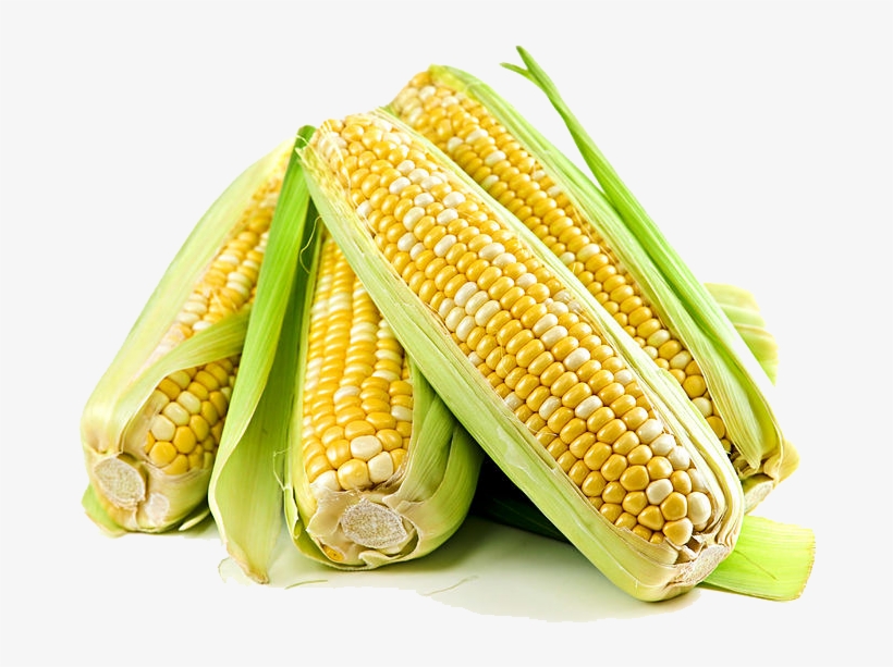 Maize Png