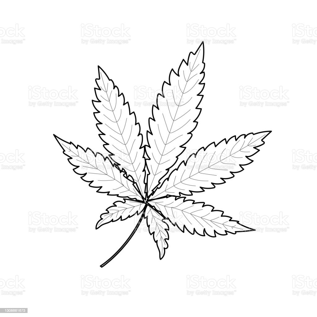 Marijuana Leaf Outline