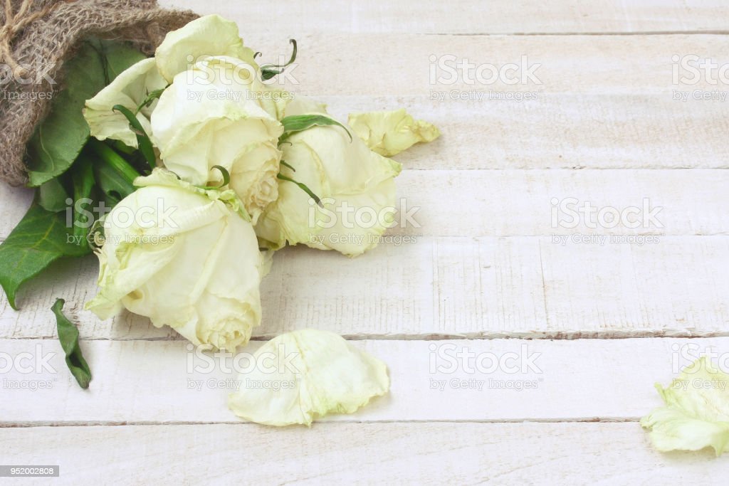 Mawar Putih Layu