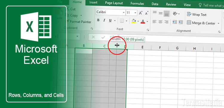 Membuat Posisi Gambar Di Excel Tidak Berubah