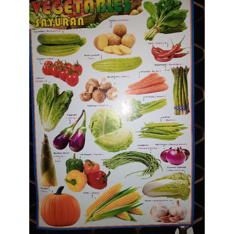 Menggambar Sayur Sayuran