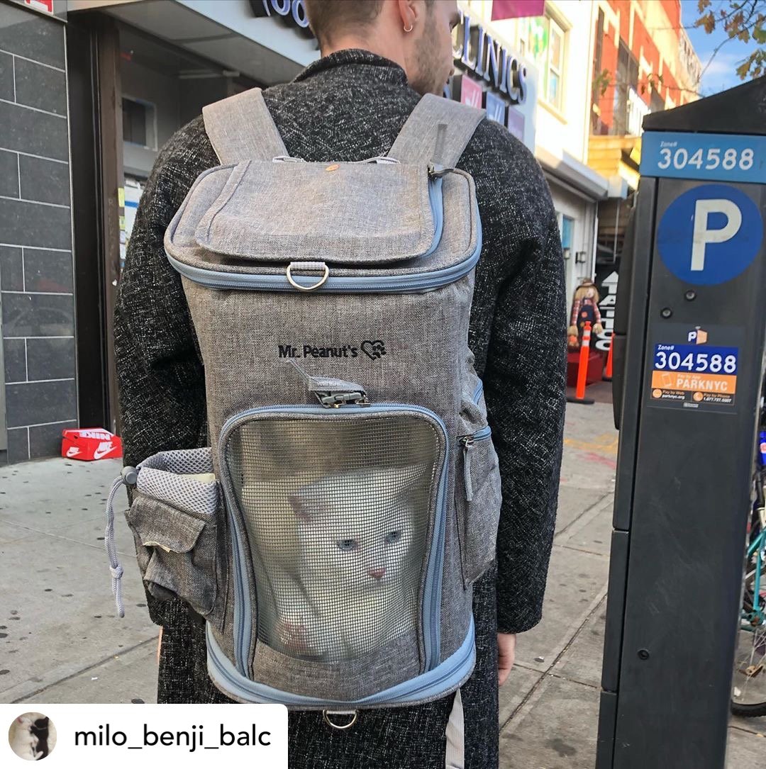 Mr Peanut Cat Backpack
