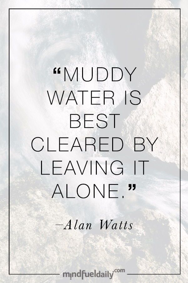 Muddy Waters Quotes