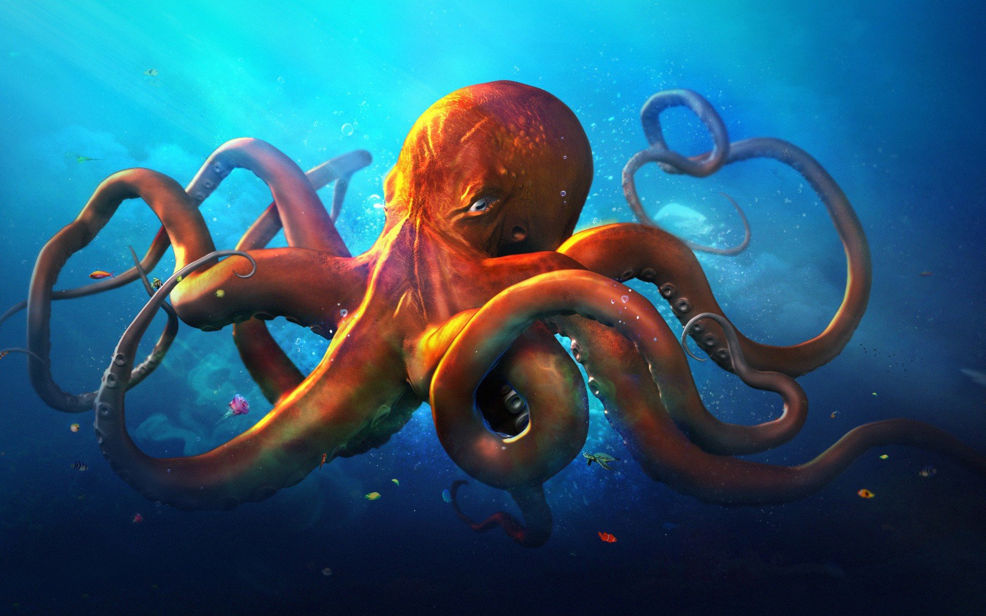 Octopus Download