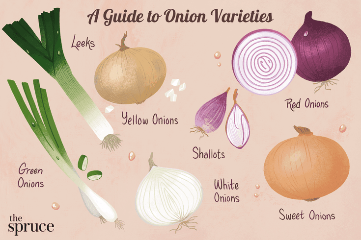 Onion Images
