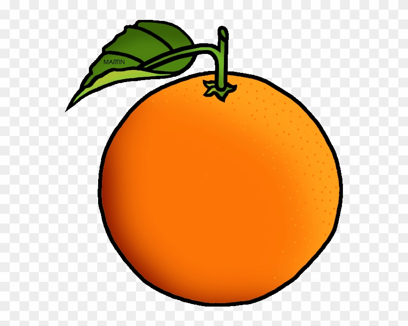 Orange Clipart Png