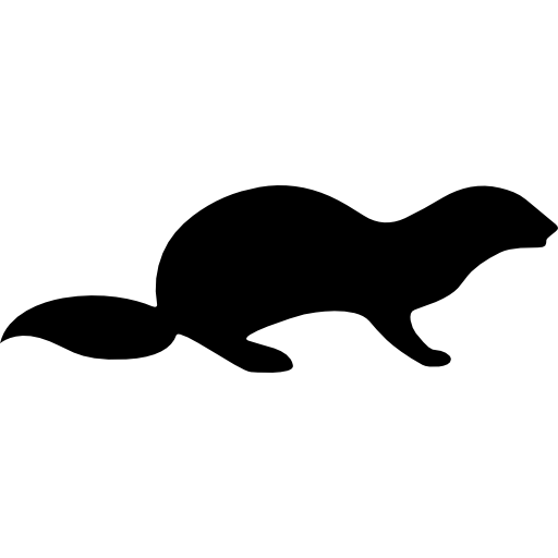 Otter Zeichnen Einfach