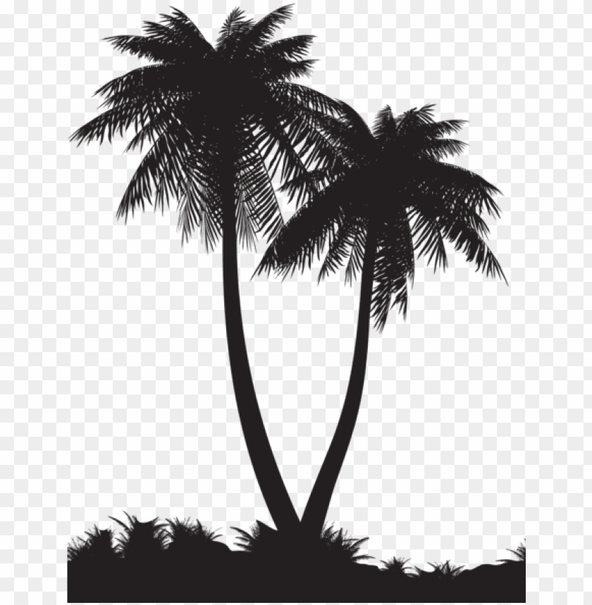 Palm Tree Silhouette Transparent Background