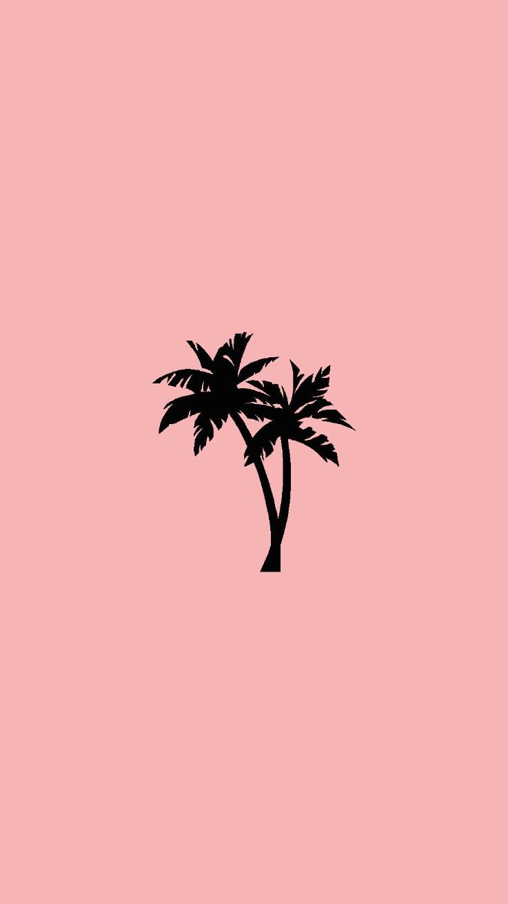 Palmen Hintergrundbilder