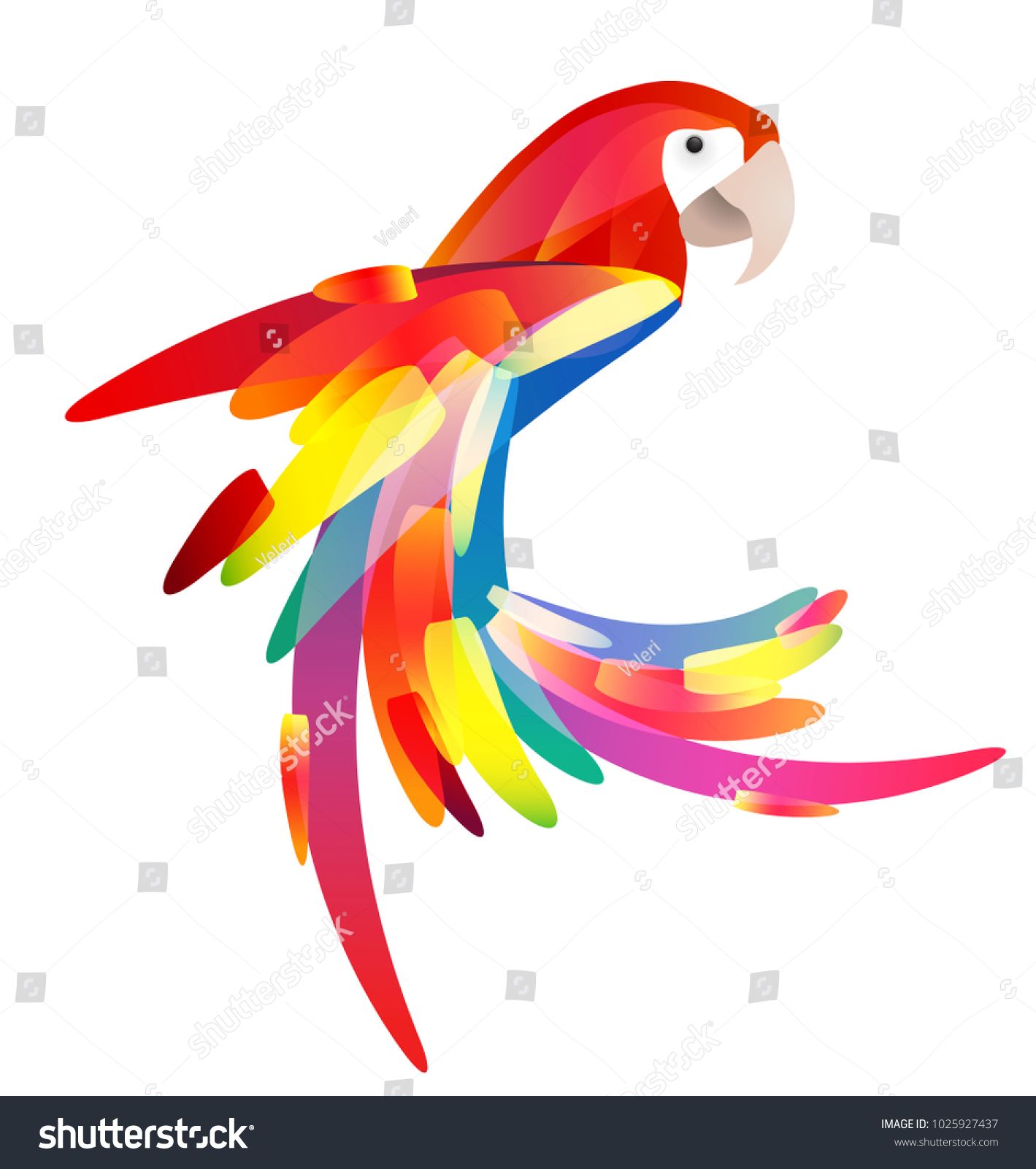 Parrot Graphic