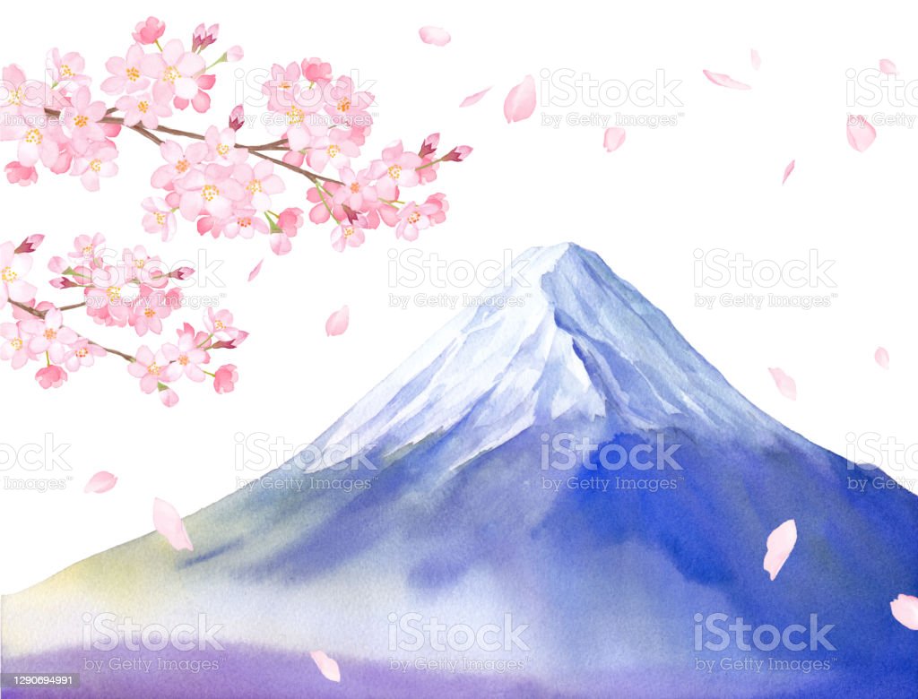 Pemandangan Bunga Sakura