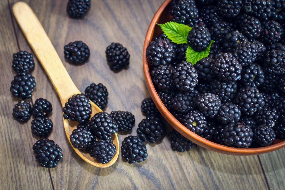 Picture Of Blackberry Fruit