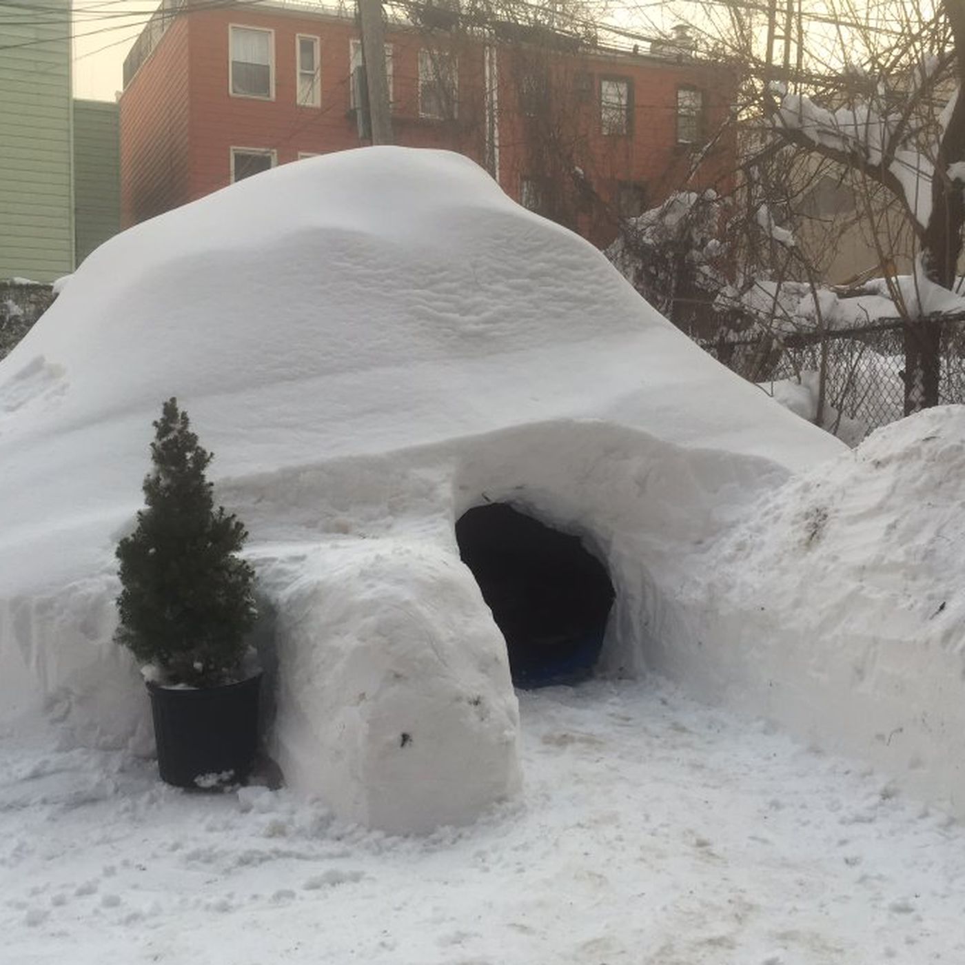 Picture Of Igloo House