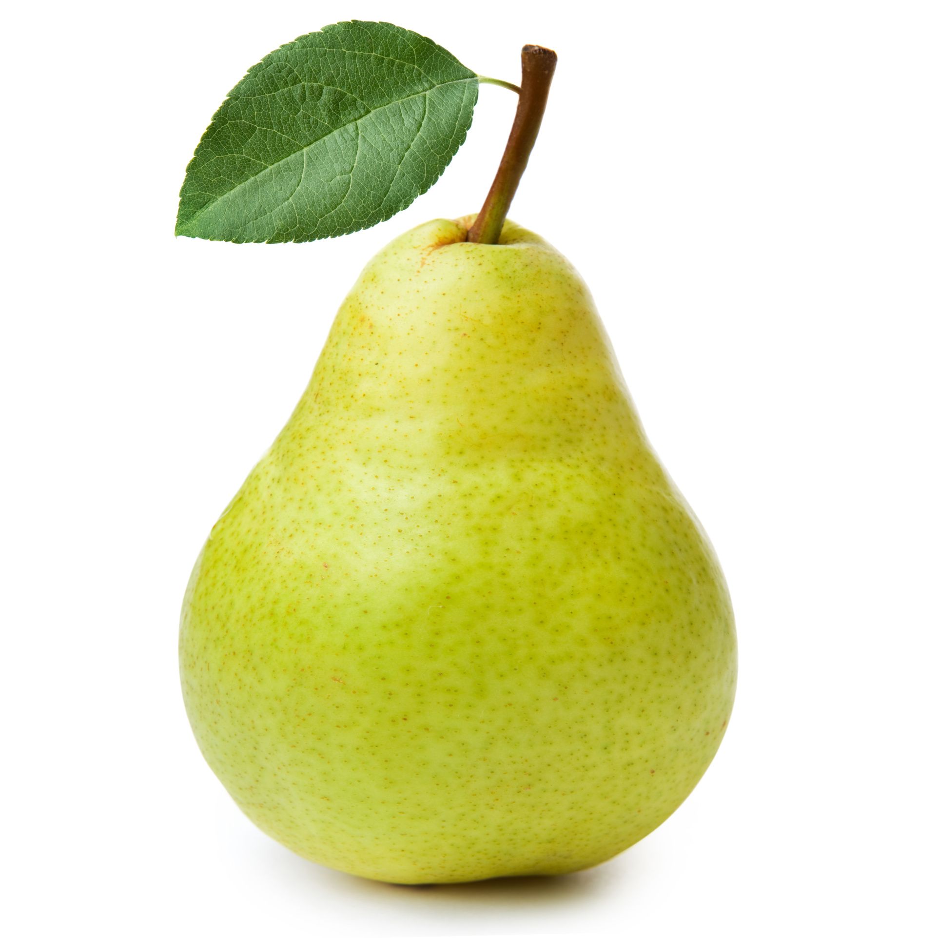Picture Of Pear Fruit