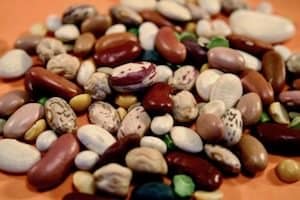 Pictures Of Dried Beans