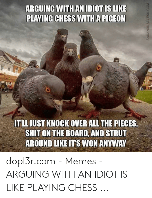Pigeon Chess Meme