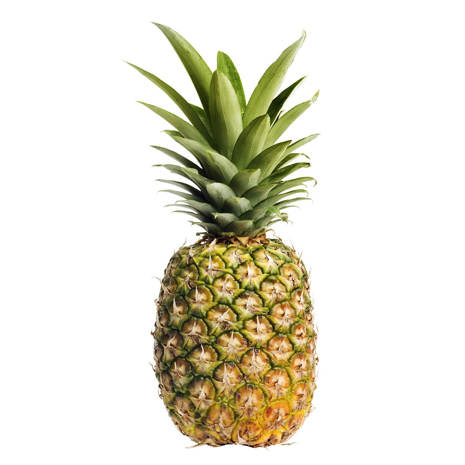 Pinapple Pictures