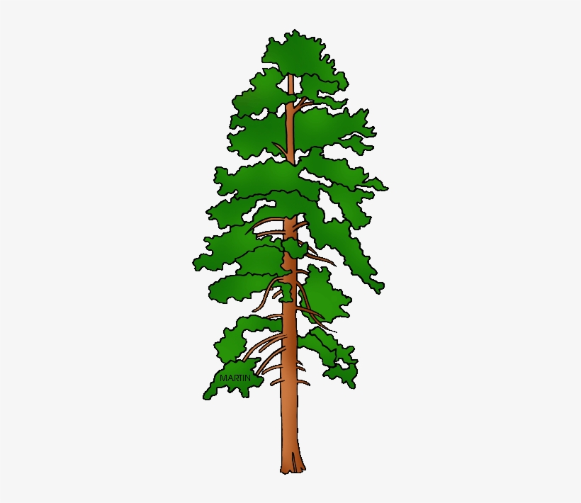 Pine Tree Logo Clip Art