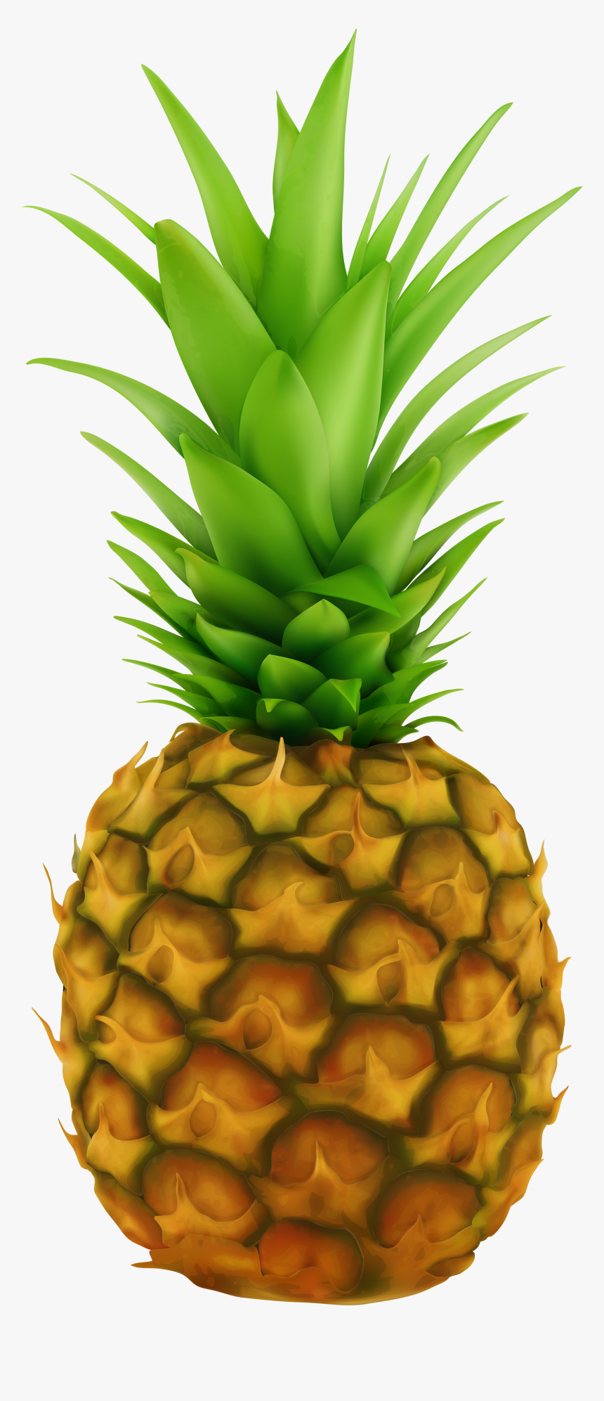 Pineapple Png Transparent