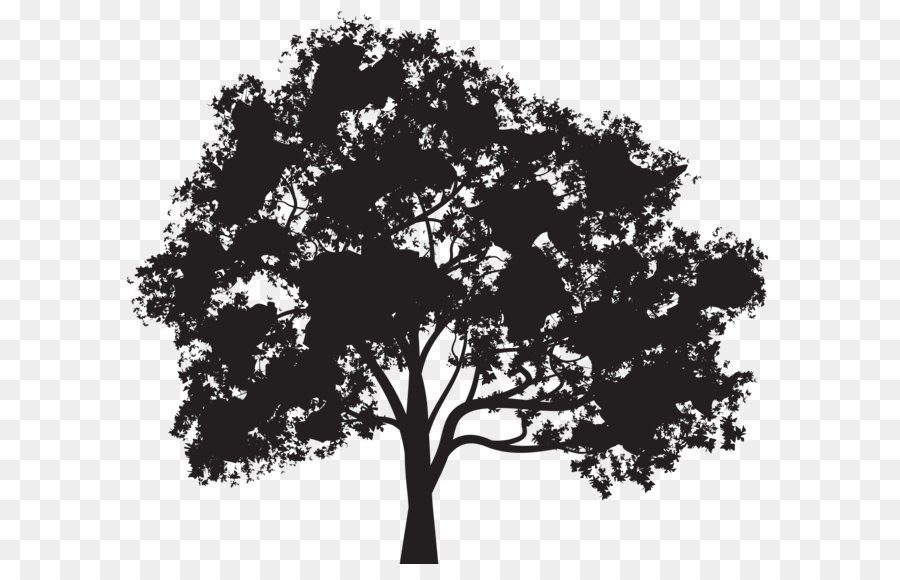 Pohon Siluet Png